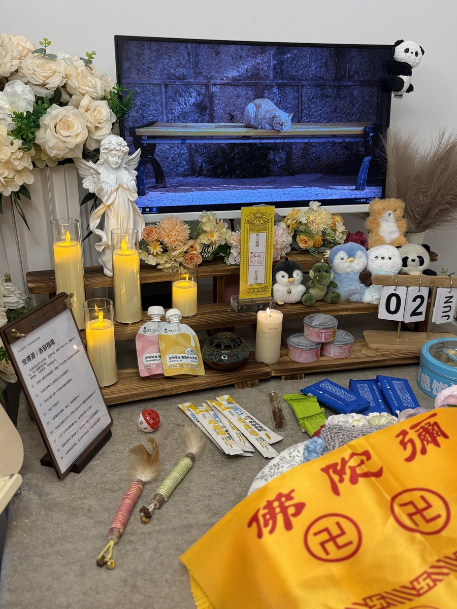 成都宠物殡葬服务实拍