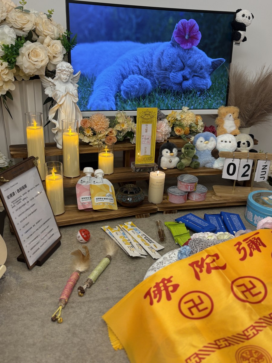 成都宠物殡葬服务实拍