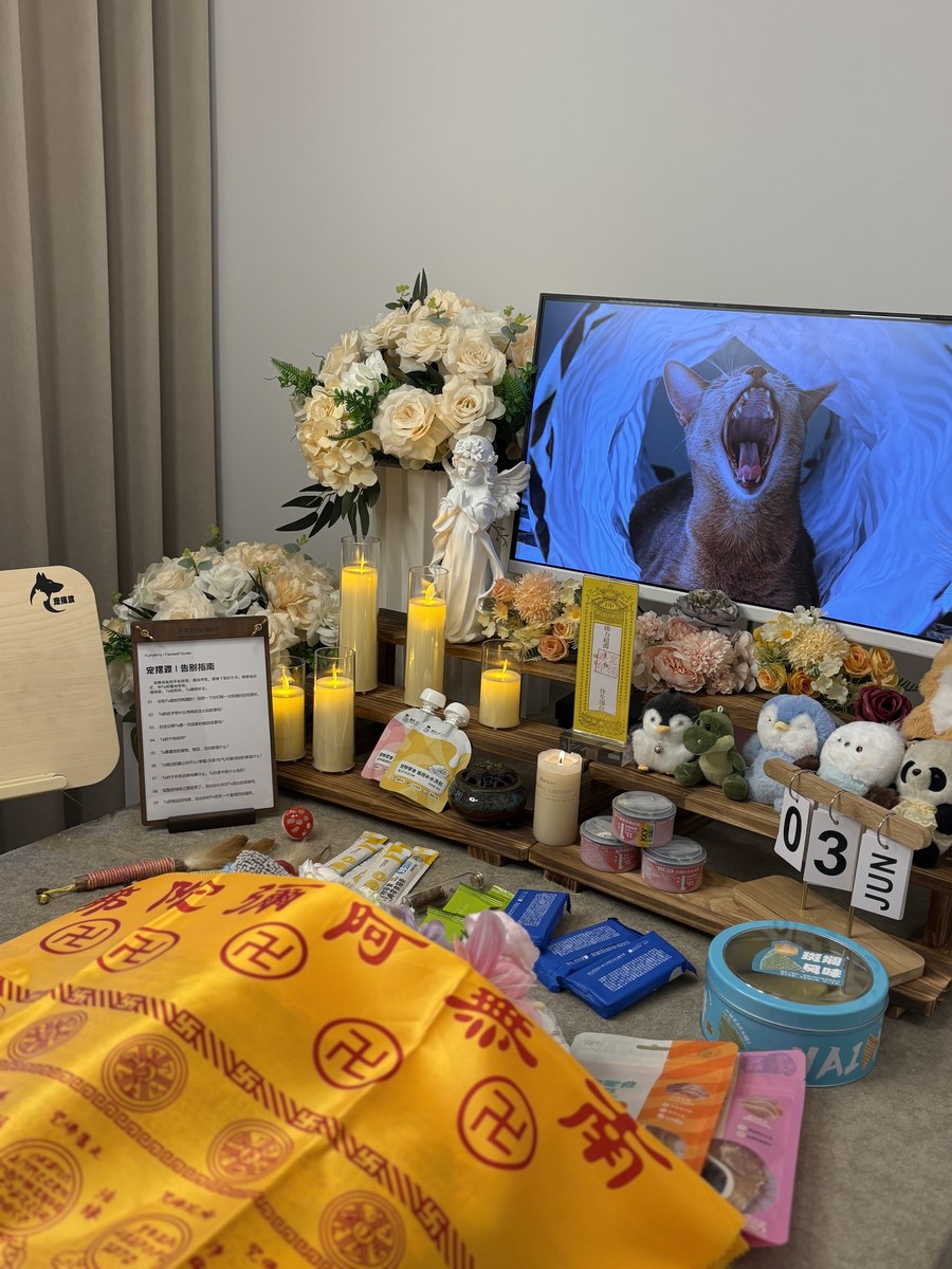 成都宠物殡葬服务实拍