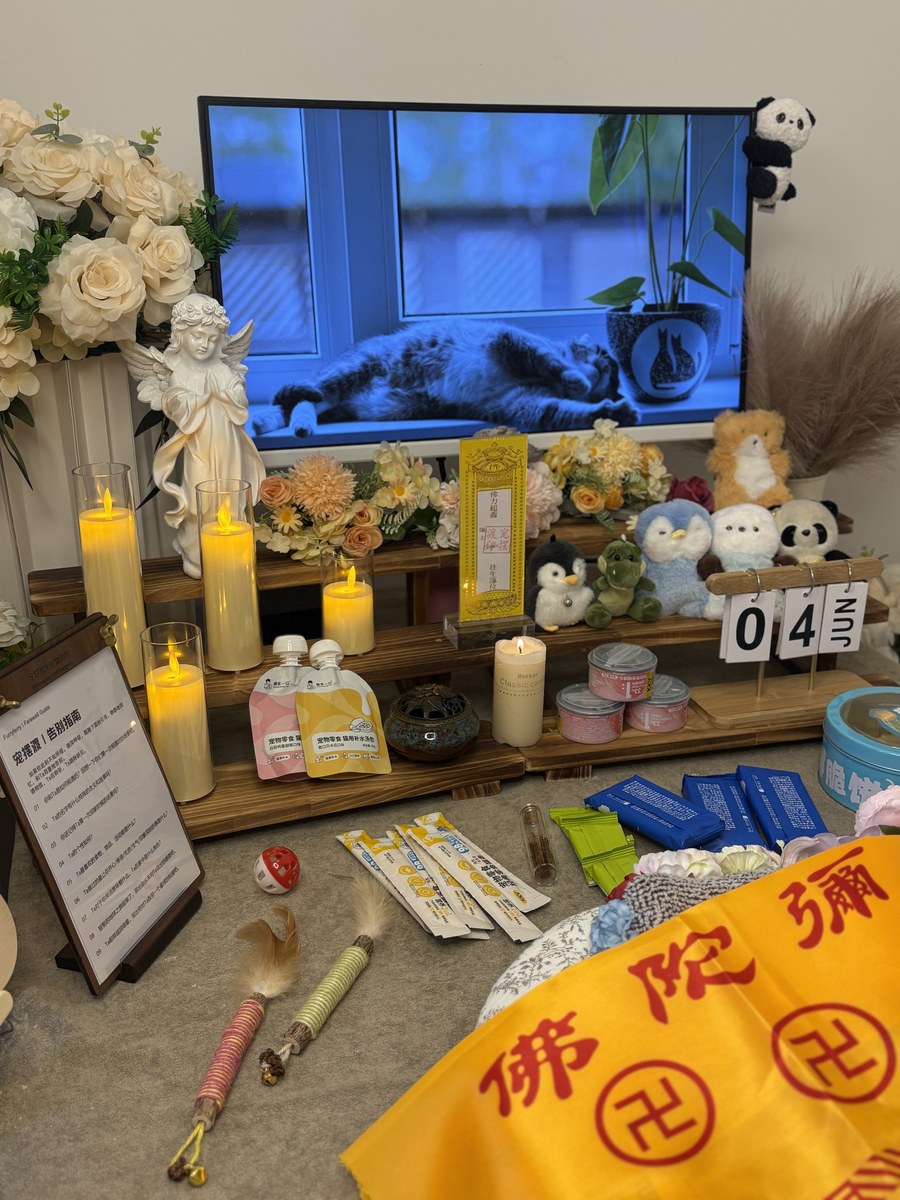 成都宠物殡葬服务实拍