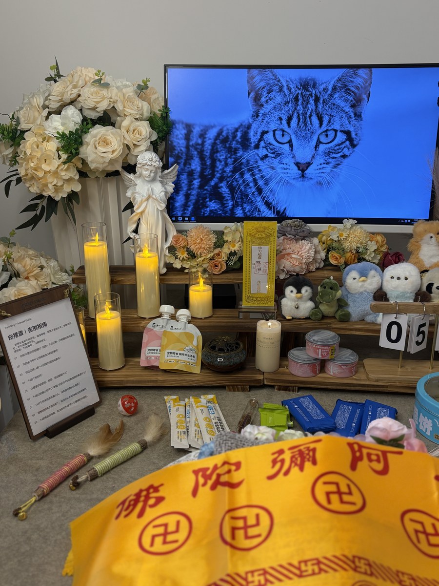 宠物火化还是土葬？成都本地合规与可行性分析（第3辑）