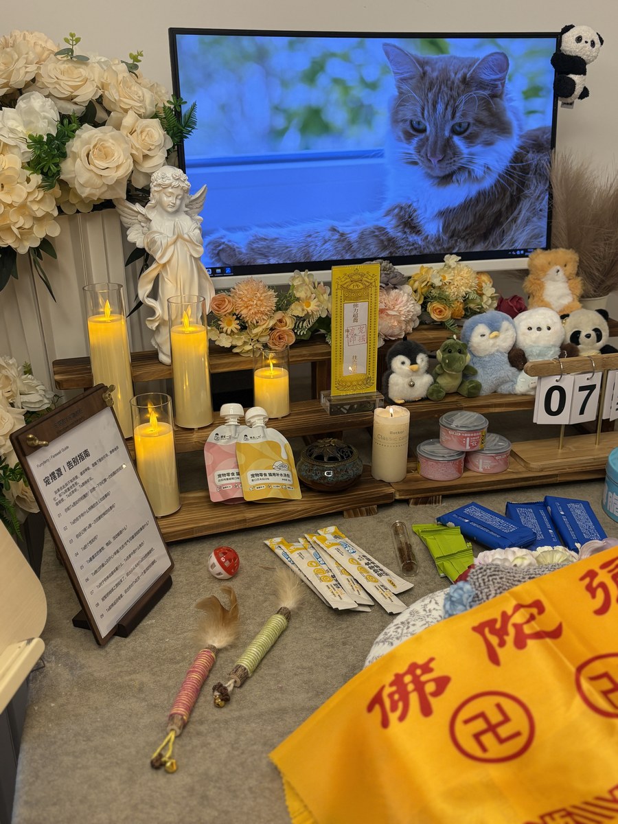 成都宠物殡葬服务实拍