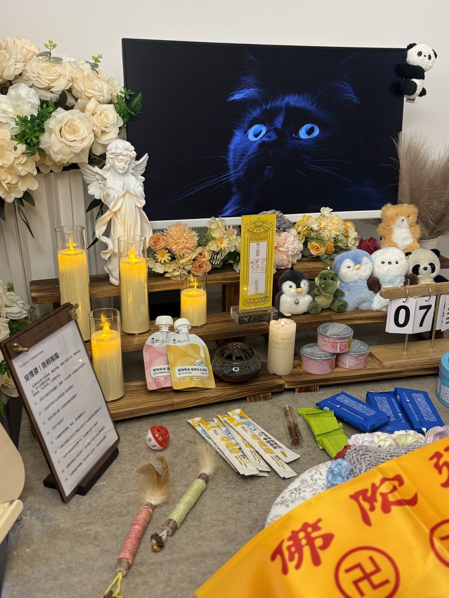 成都宠物殡葬服务实拍