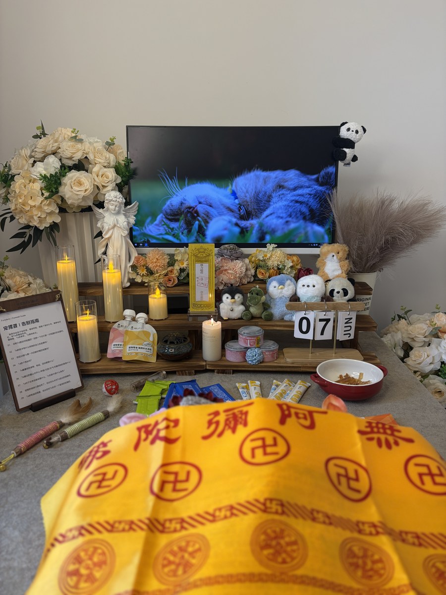 成都宠物殡葬服务实拍
