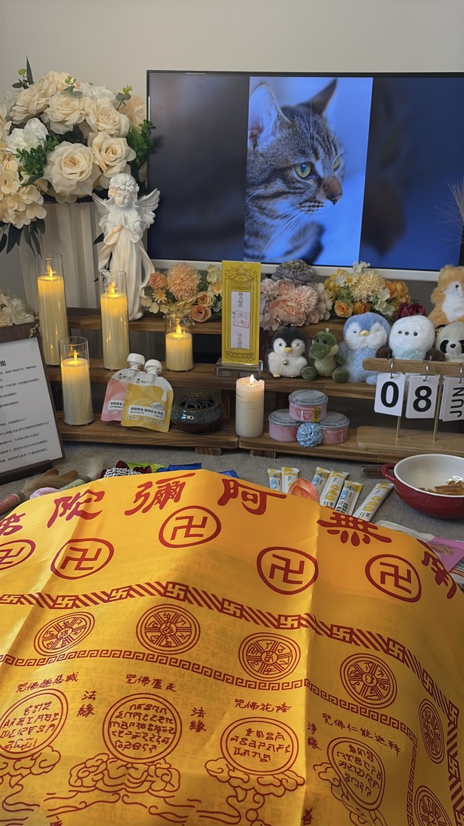 成都宠物殡葬服务实拍