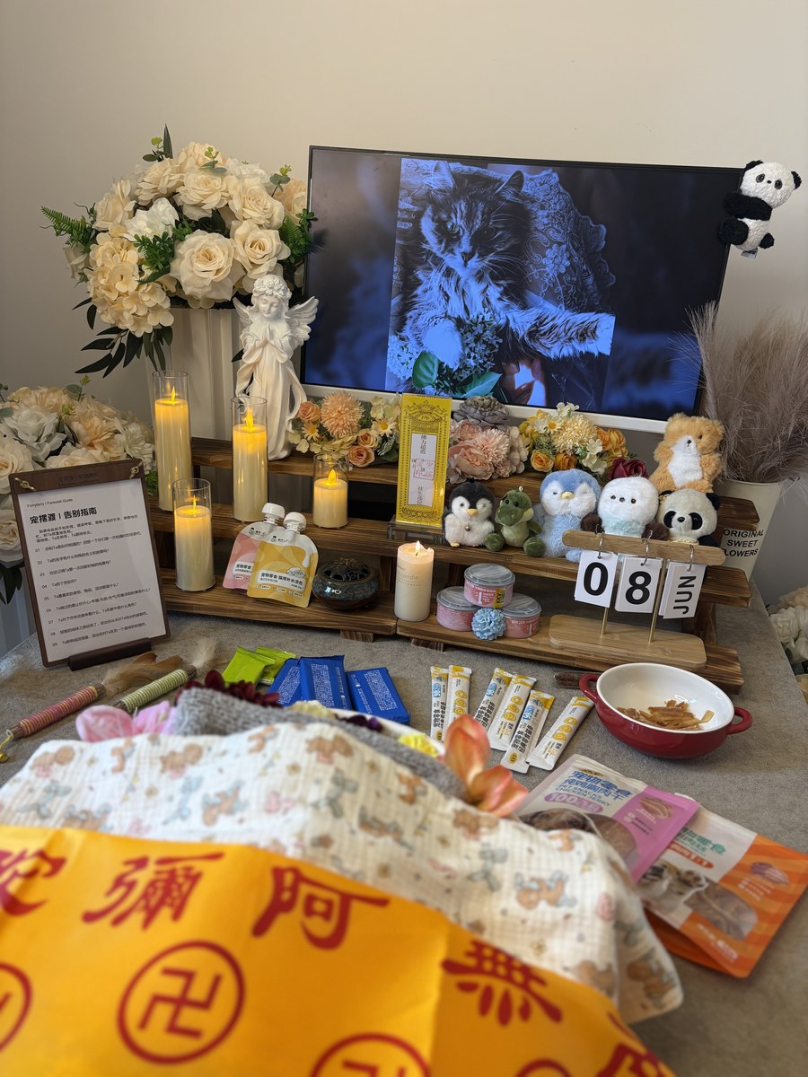 成都宠物殡葬服务实拍