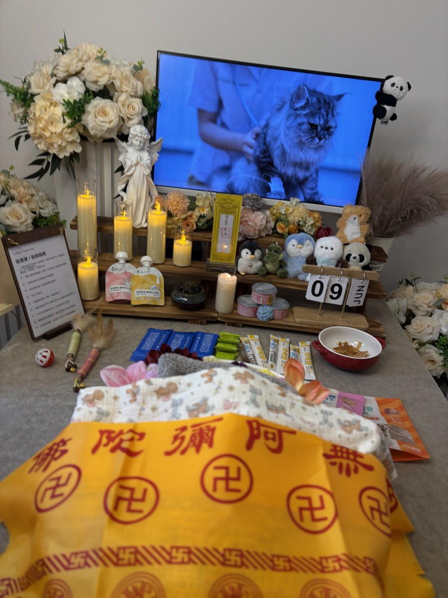成都宠物殡葬服务实拍