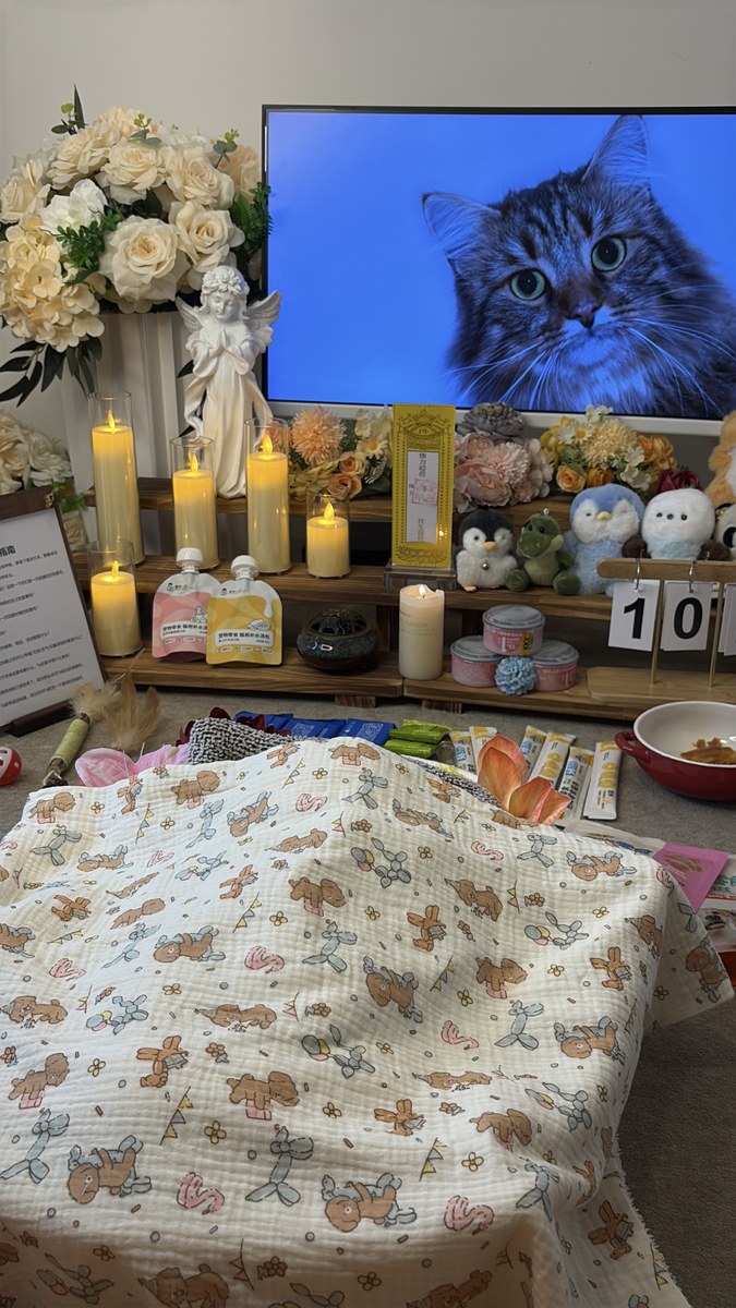 成都宠物殡葬服务实拍
