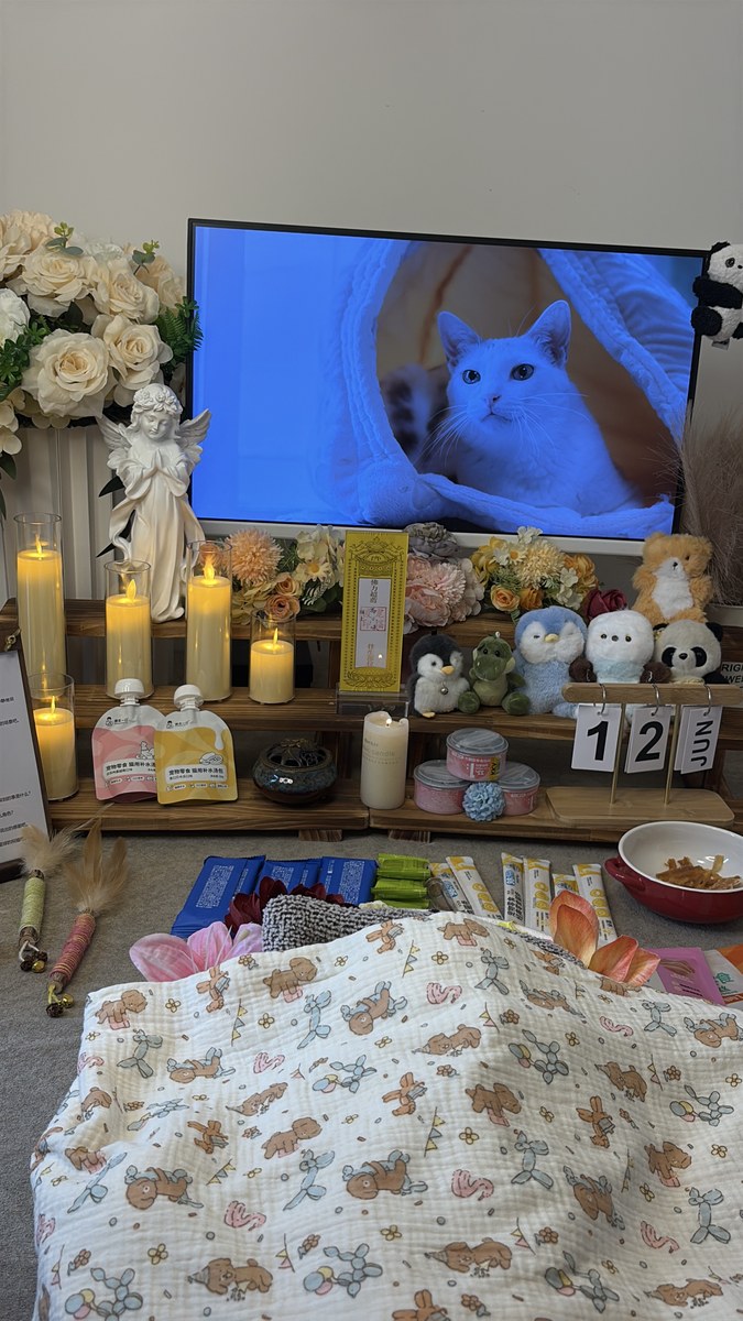 成都宠物殡葬服务实拍