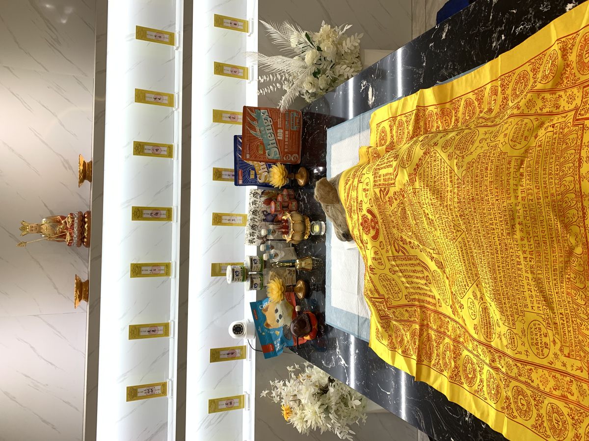 成都宠物殡葬服务实拍