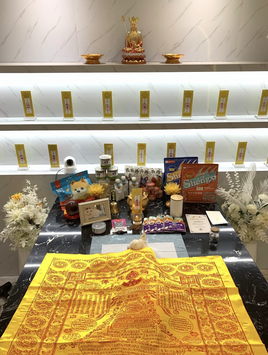 成都宠物殡葬服务实拍