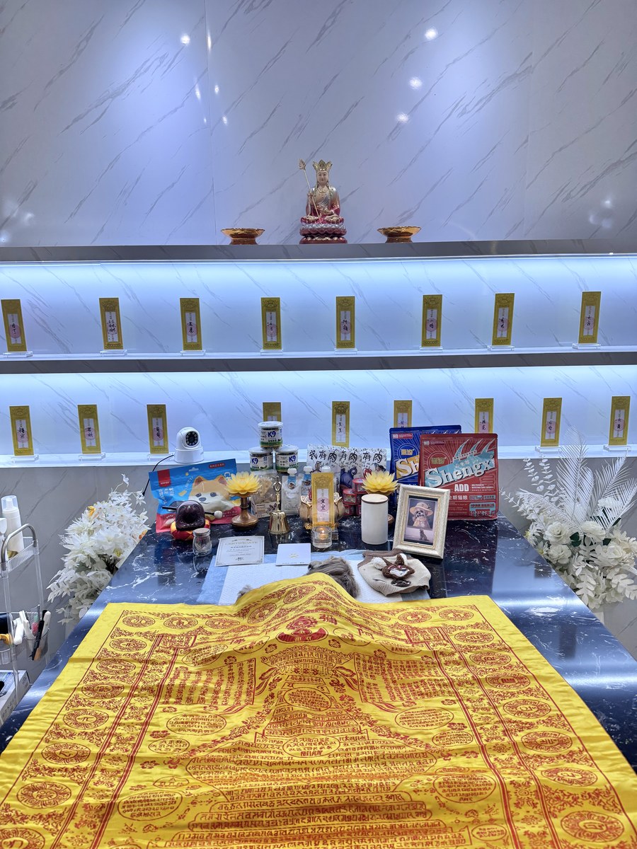 成都宠物殡葬服务实拍