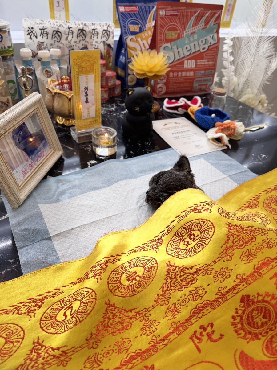 成都宠物殡葬服务实拍