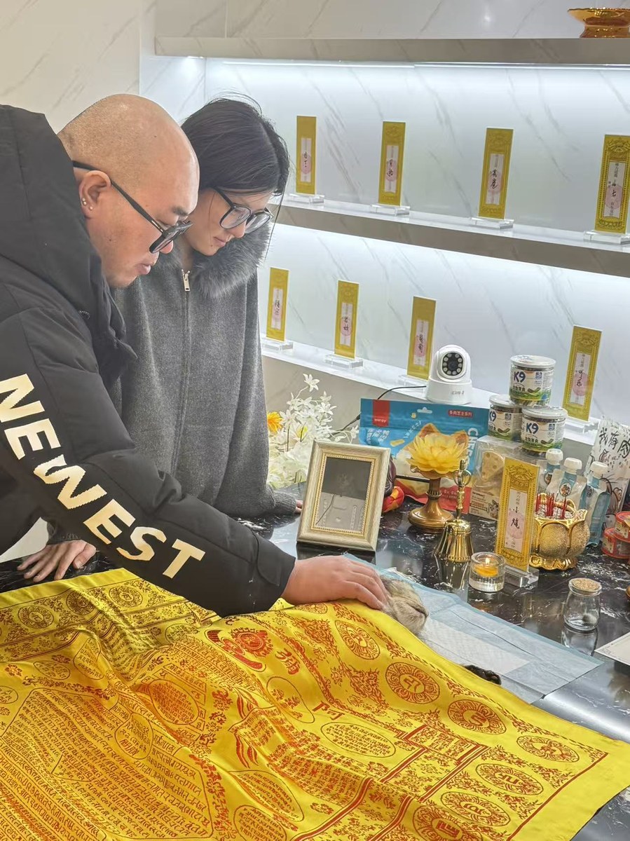 成都宠物殡葬服务实拍