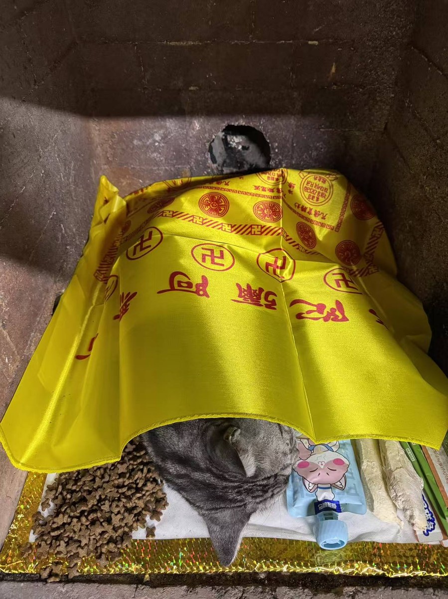 成都宠物殡葬服务实拍