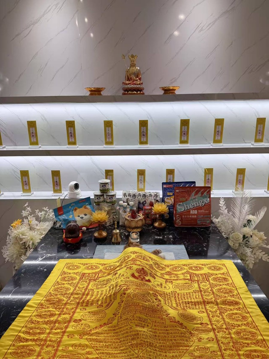成都宠物殡葬服务实拍
