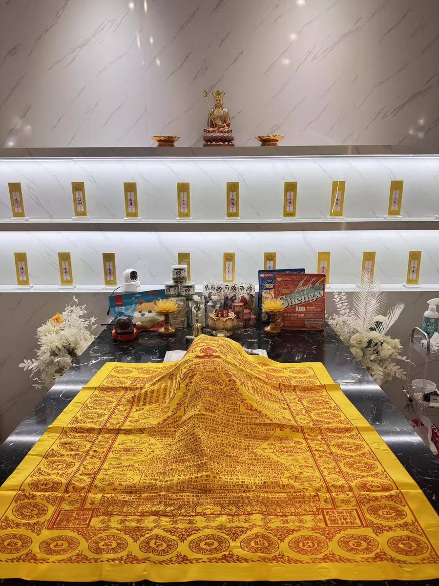 成都宠物殡葬服务实拍