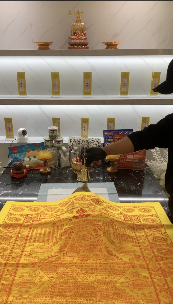 成都宠物殡葬服务实拍