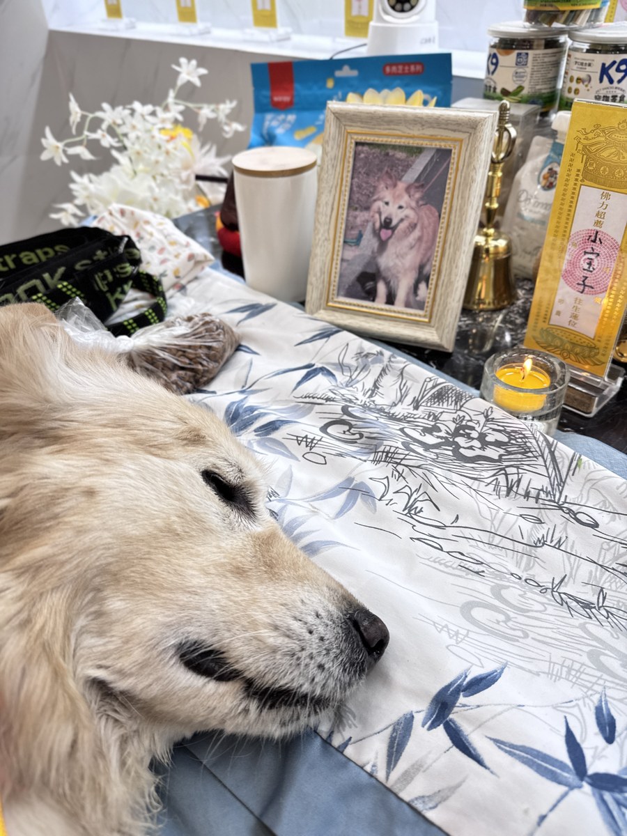 成都宠物殡葬如何避免被坑：选机构的七个判断标准（第28辑）