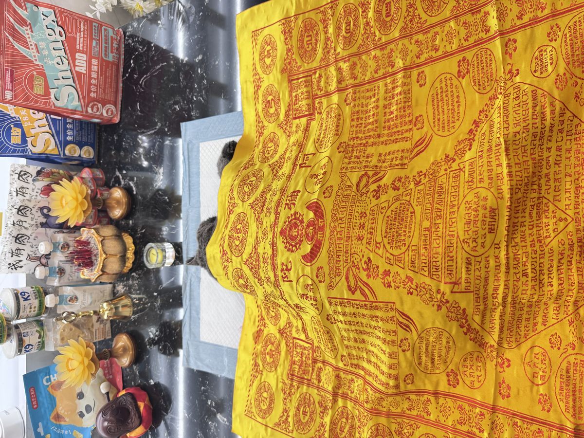 成都宠物殡葬服务实拍