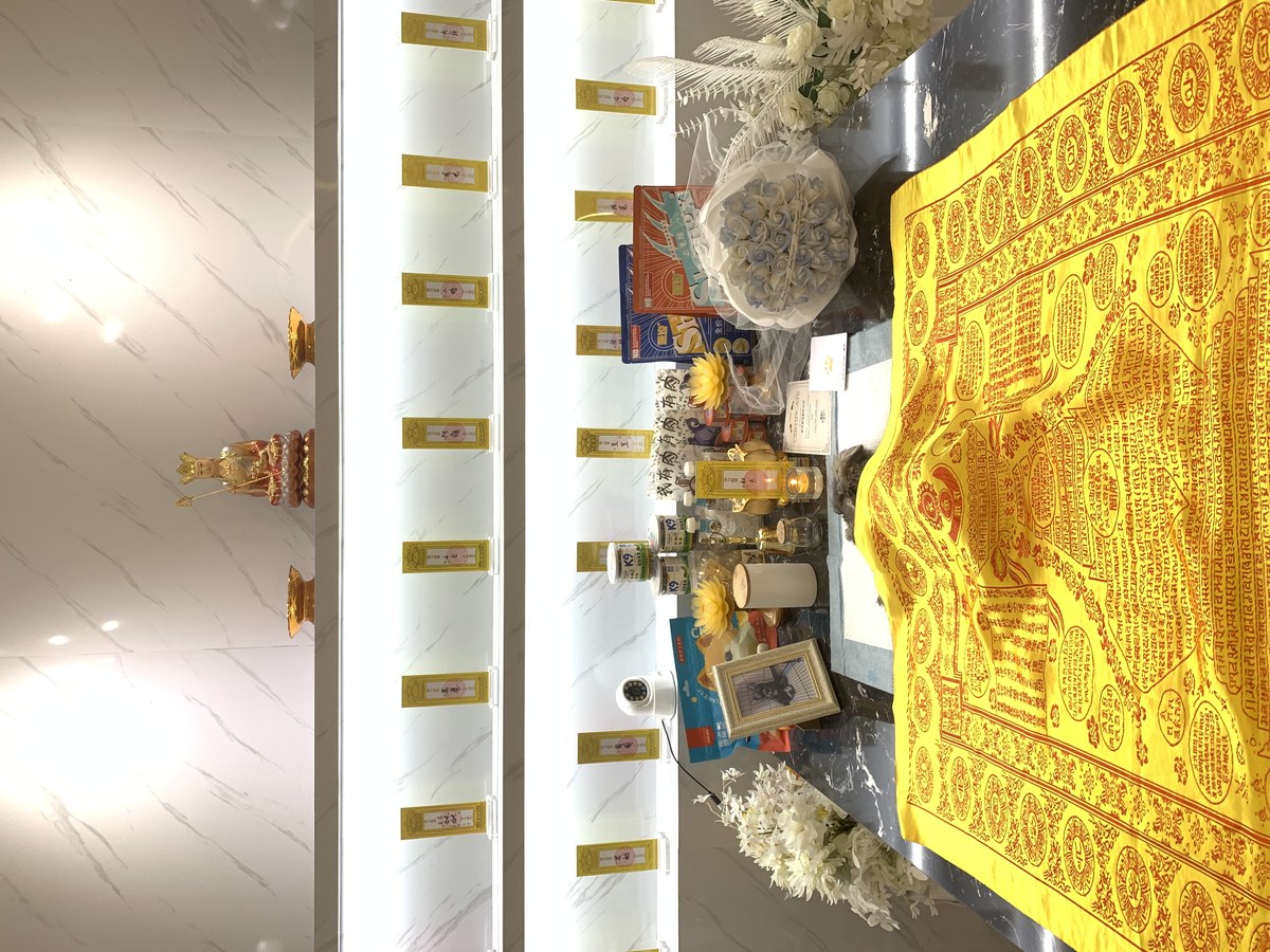成都宠物殡葬服务实拍