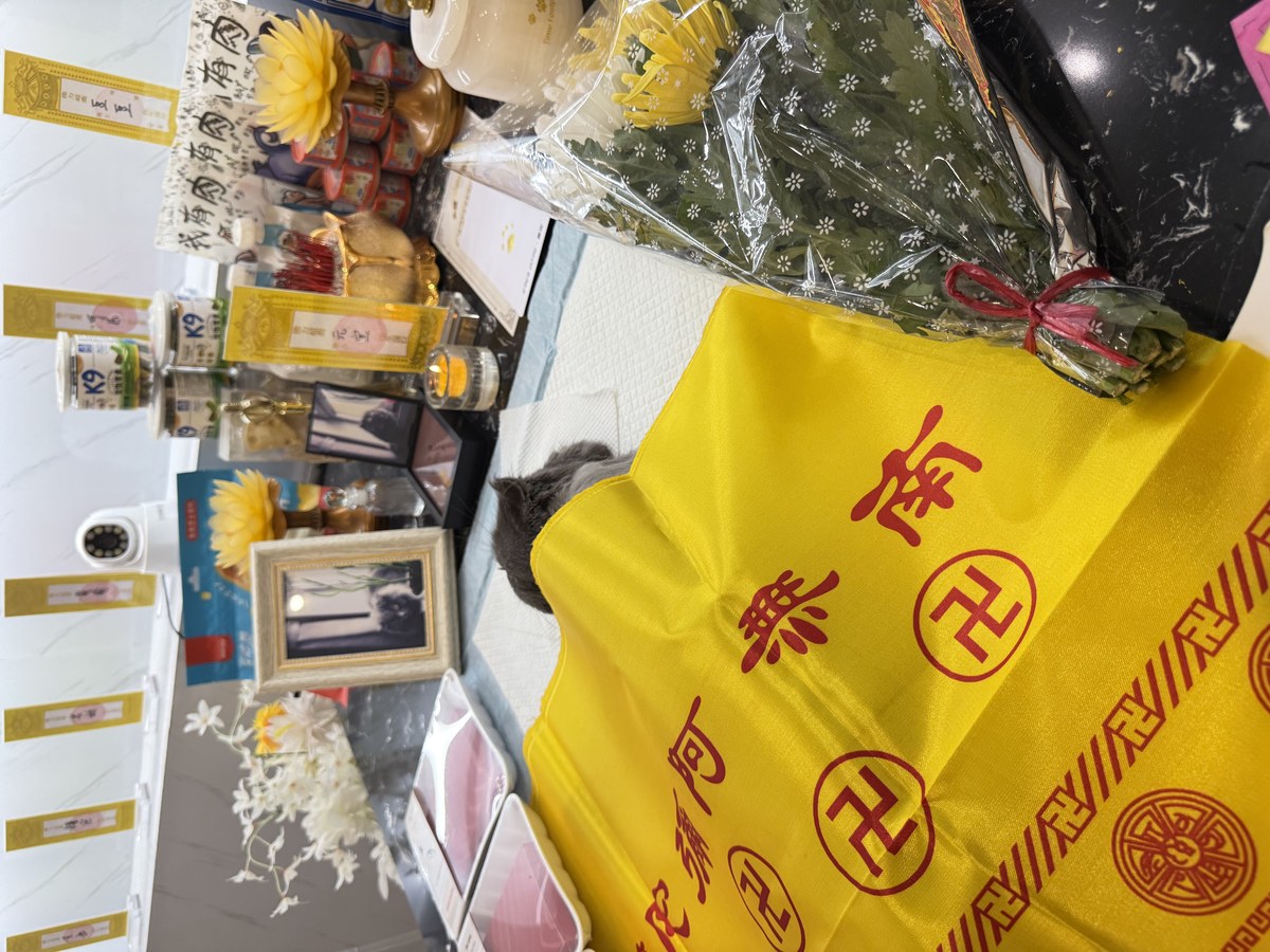 成都宠物殡葬服务实拍