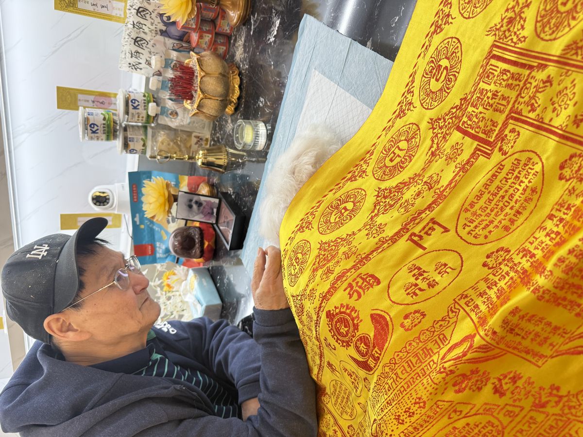 成都宠物殡葬服务实拍
