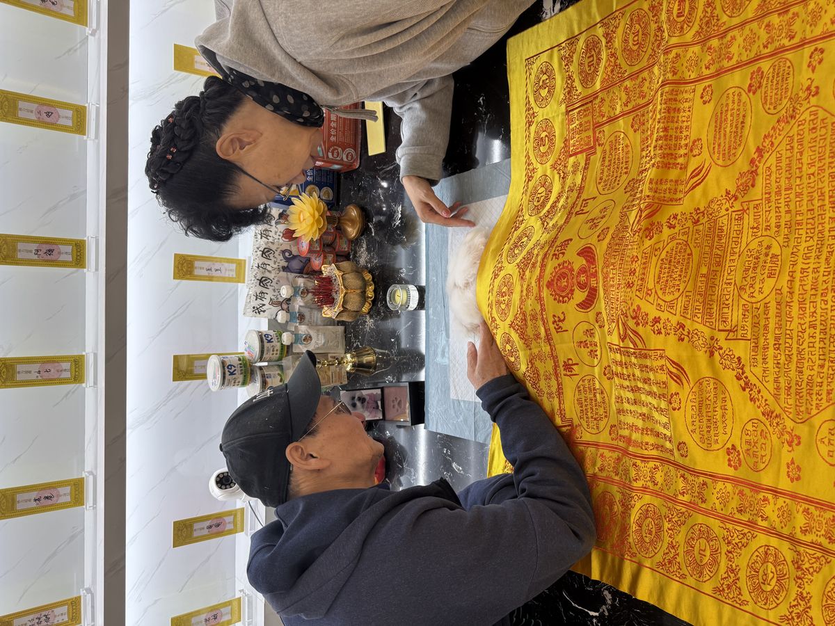 成都宠物殡葬服务实拍