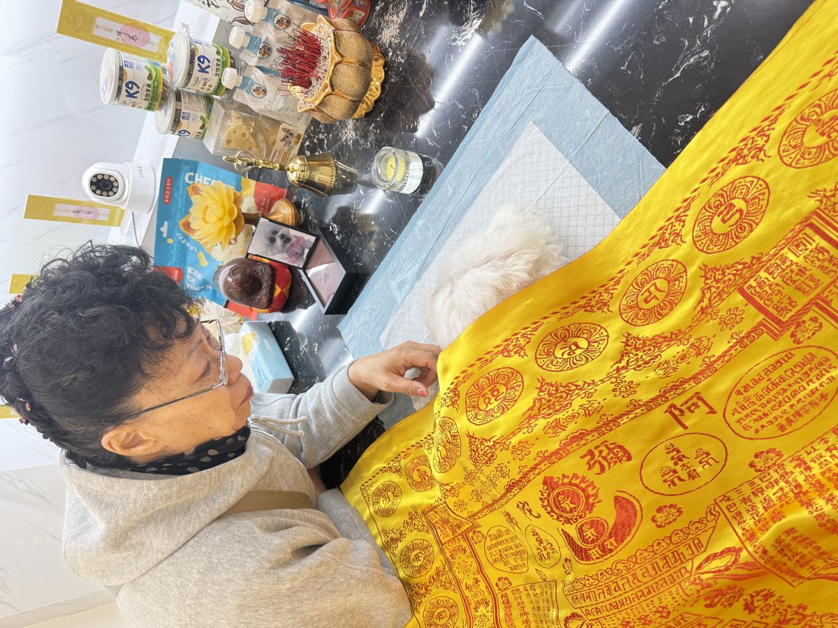 成都宠物殡葬服务实拍