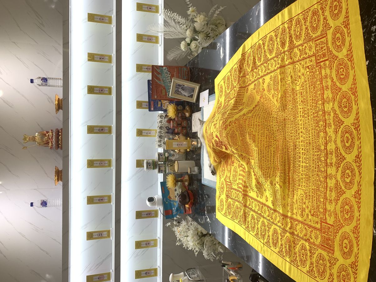 成都宠物殡葬服务实拍