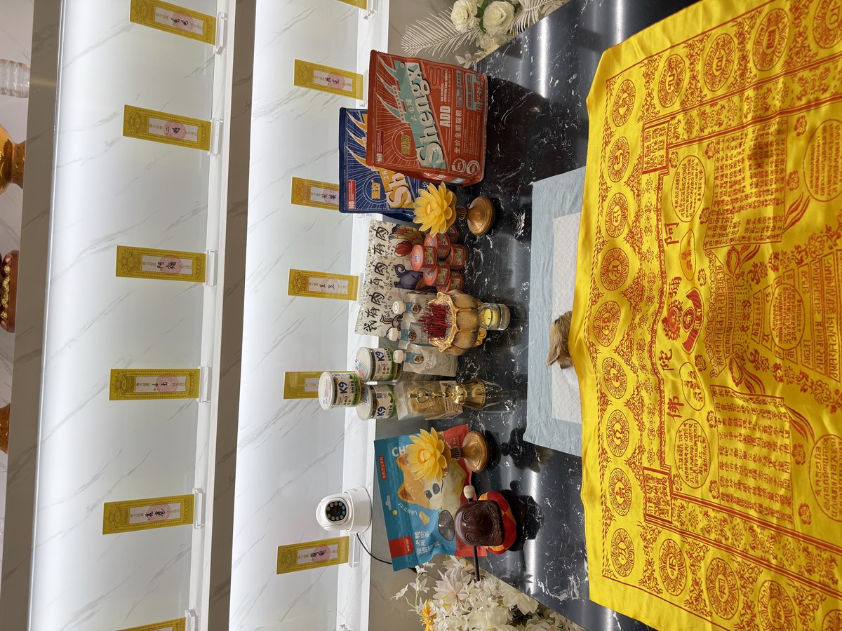 成都宠物殡葬服务实拍